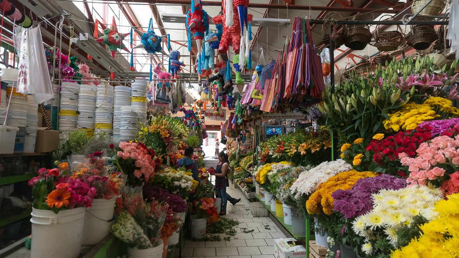 San Miguel de Allende Food Tours Compared: Which of the Six to Book (2026)