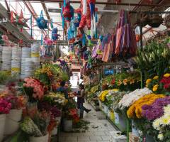 San Miguel de Allende Food Tours Compared: Which of the Six to Book (2026)