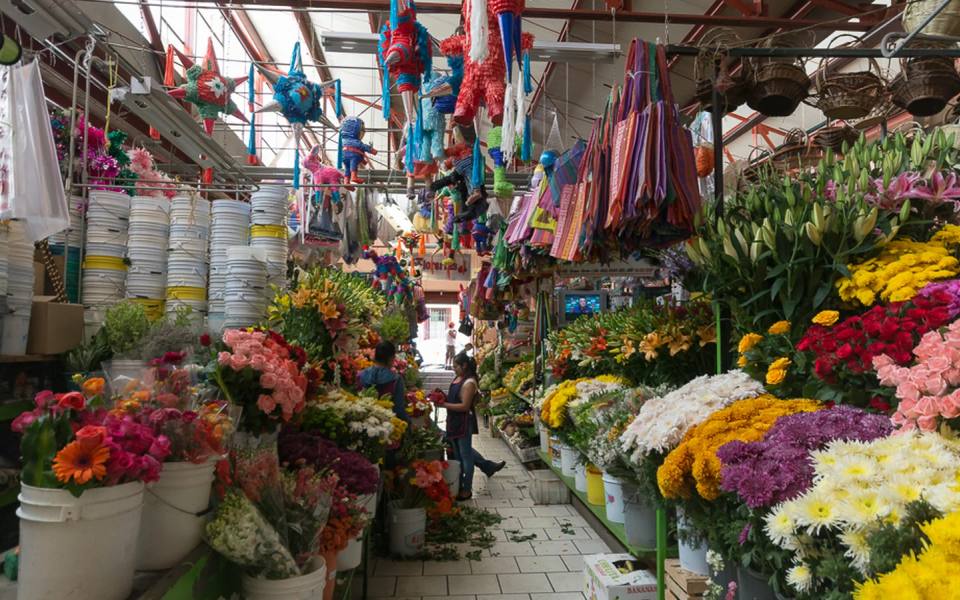 San Miguel de Allende Food Tours Compared: Which of the Six to Book (2026)