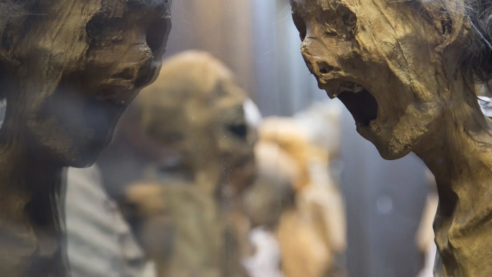 Museo de las Momias (Mummy Museum): Complete Visitor Guide