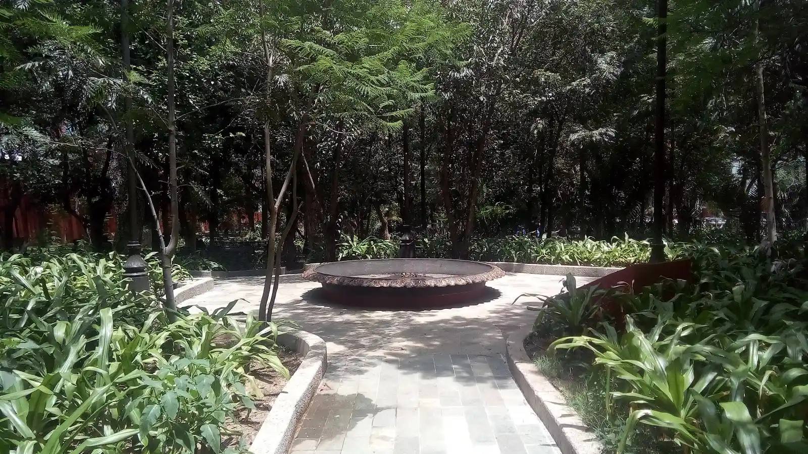 Best Running and Walking Routes in Guanajuato Capital