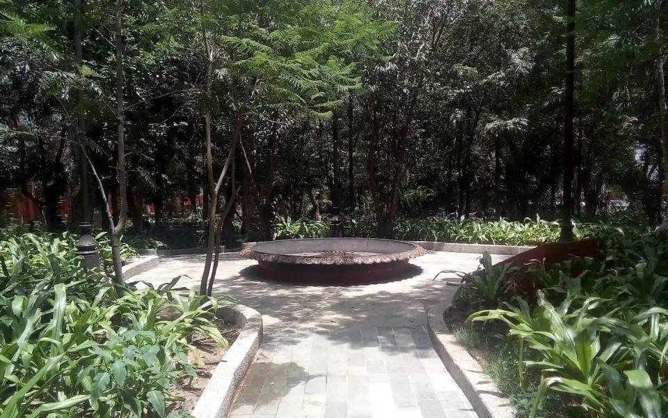 Best Running and Walking Routes in Guanajuato Capital
